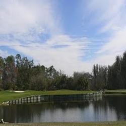 Saddlebrook Golf Course in Westley Chapel Florida