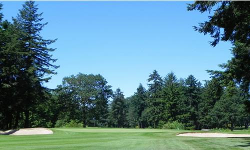 Whispering Firs, Hole 1