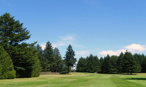 Whispering Firs, Hole 10