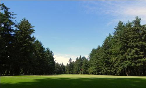 Whispering Firs, Hole 14