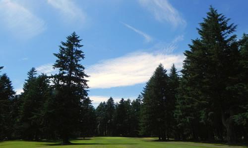 Whispering Firs, Hole 15