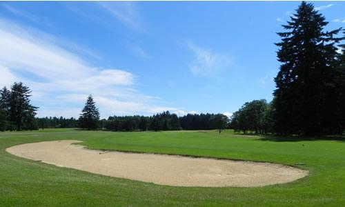 Whispering Firs, Hole 16