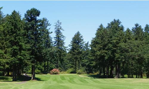 Whispering Firs, Hole 3