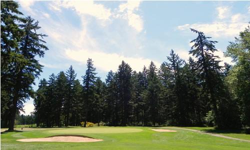 Whispering Firs, Hole 4