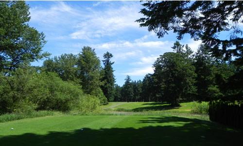 Whispering Firs, Hole 6