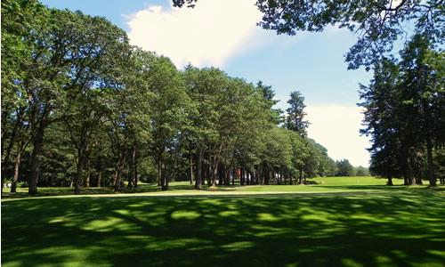 Whispering Firs, Hole 8