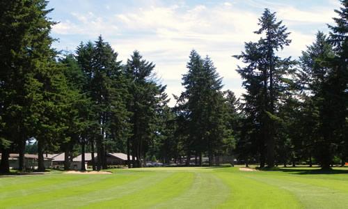 Whispering Firs, Hole 9